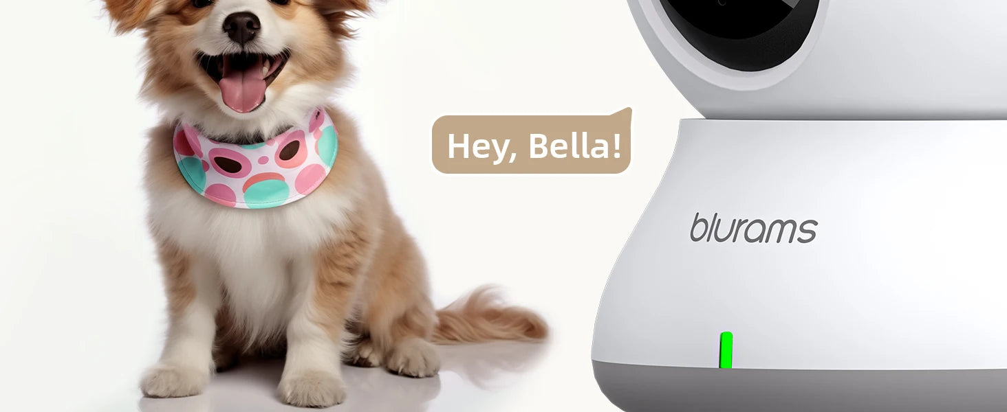 Beveiligingscamera (3MP) – Camera van 24HOMESECURE