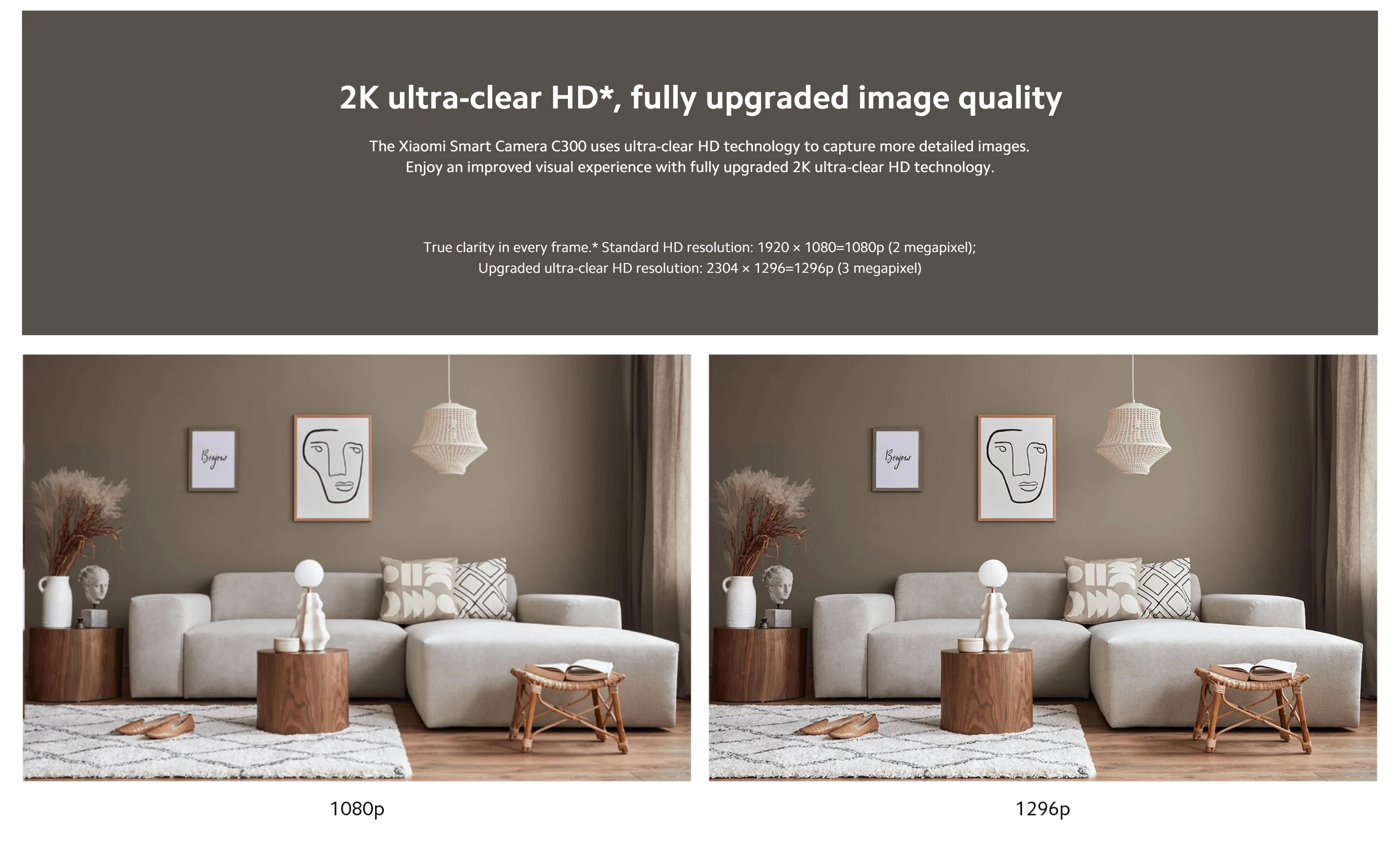 Xiaomi Smart Camera C300